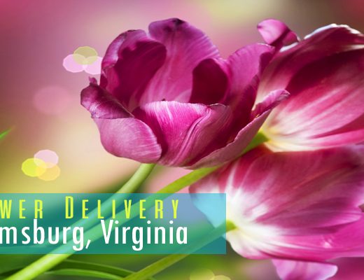 5 Best Flower Delivery in Williamsburg, VA