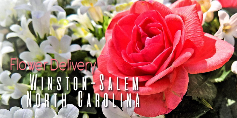 Best Flower Delivery Winston-Salem North Carolina