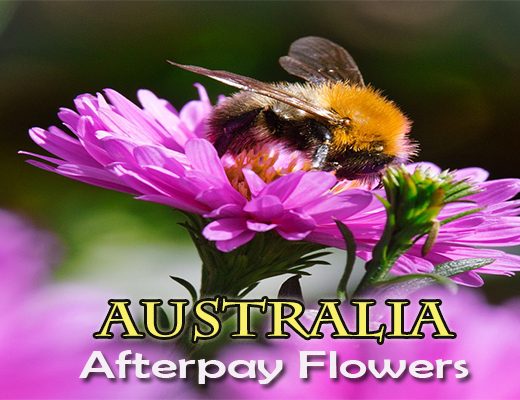 The 10 Best Options to Use Afterpay for Flowers in Australia