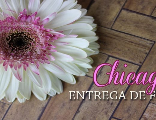 Las 17 Mejores Florerías con Entrega en Chicago