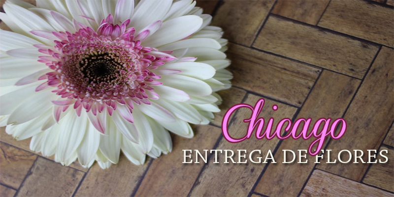 Mejores Entrega de Flores Chicago