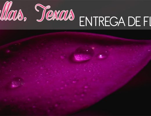 Las Mejores Florerías con Entrega en Dallas
