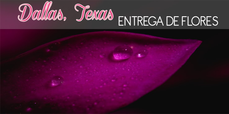 Mejores Entrega de Flores Dallas
