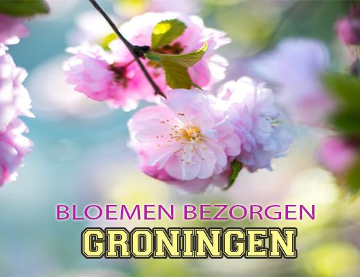 De 6 Beste Opties Voor Bloemenlevering in Groningen