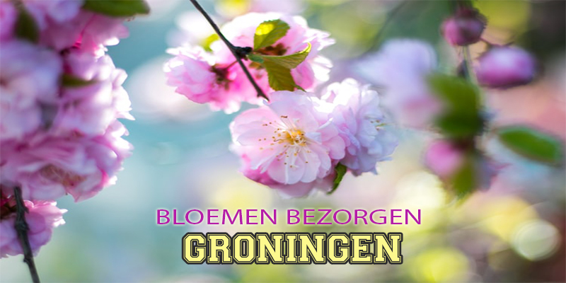 Beste Bloemenlevering Groningen