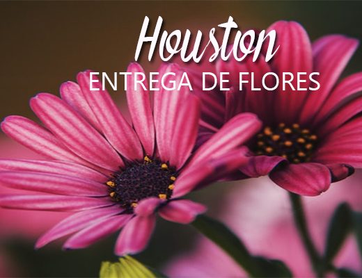 Las 12 Mejores Florerías con Entrega en Houston