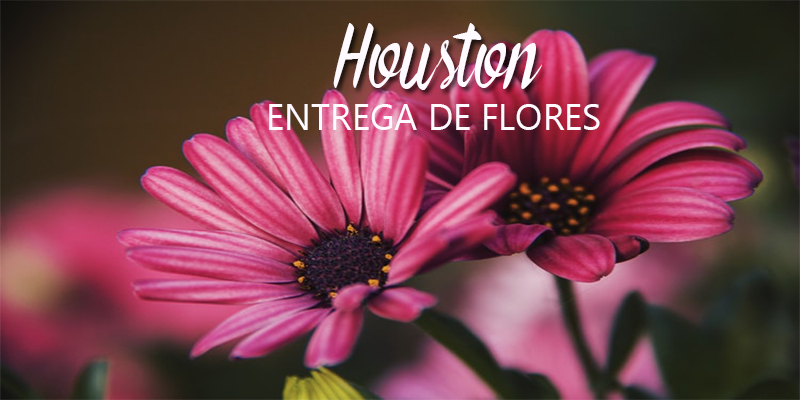 Mejores Entrega de Flores Houston