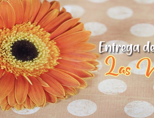 Las 15 Mejores Florerías con Entrega en Las Vegas
