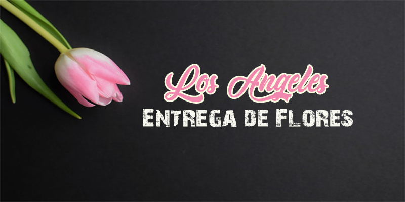 Mejores Entrega de Flores