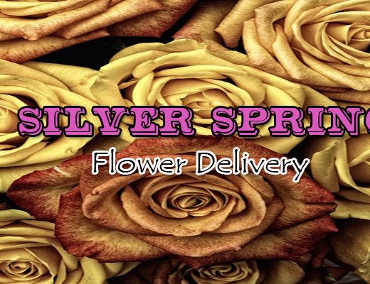 The 10 Best Options for Flower Delivery in Silver Spring, MD