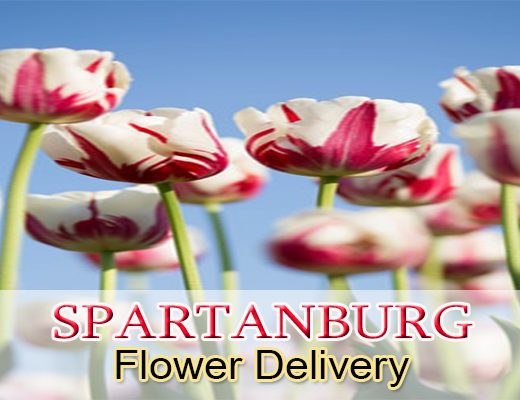 4 Picks for Best Flower Delivery in Spartanburg, SC