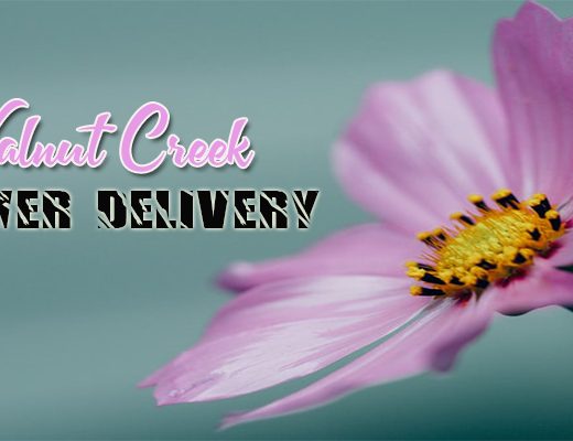 The 8 Best Options for Flower Delivery in Walnut Creek