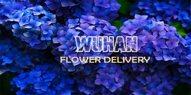 Best Flower Delivery Wuhan