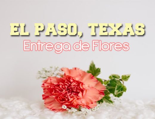 Las 8 Mejores Florerías con Entrega en El Paso Texas