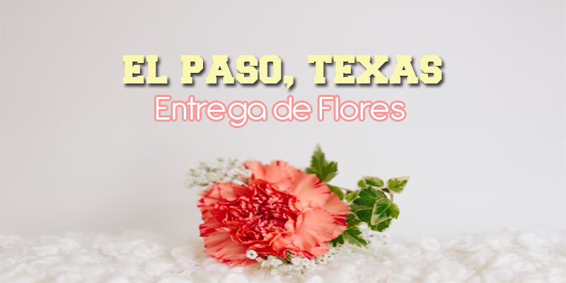 Mejores Entrega de Flores El Paso Texas