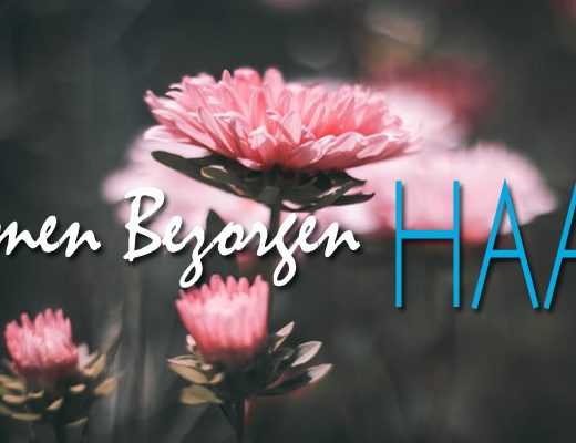 De 8 Beste Opties Voor Bloemenlevering in Den Haag