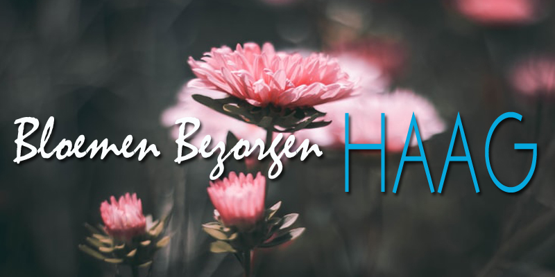 Best Bloemenlevering Den Haag