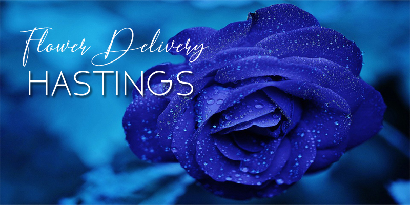 Best Flower Delivery Hastings