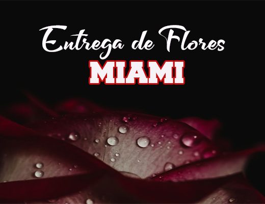 Las Mejores Florerías con Entrega en Miami