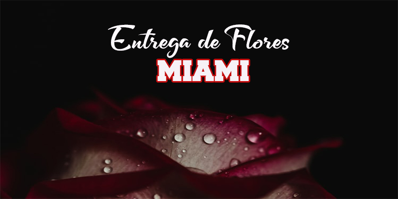 Mejores Entrega de Flores Miami