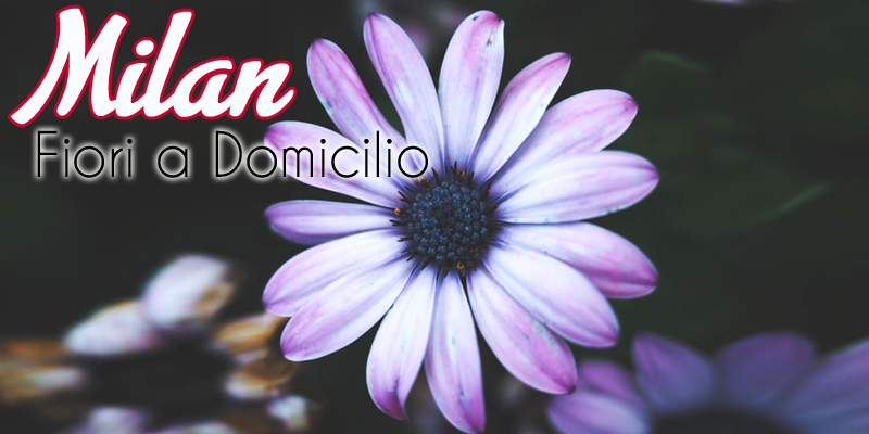 fiori a domicilio Milano