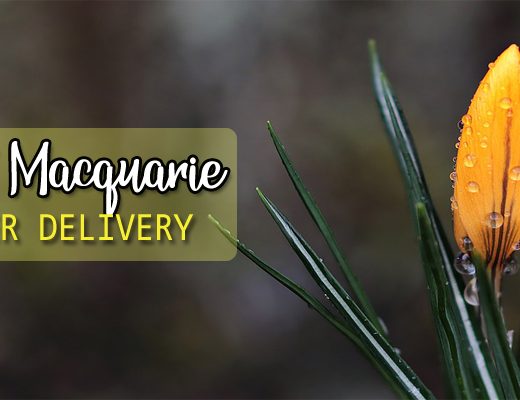 The 6 Best Options for Flower Deliver in Port Macquarie