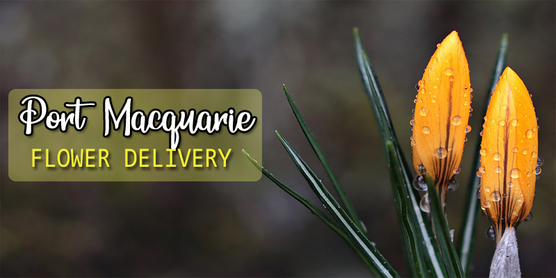 Flower Deliver In Port Macquarie