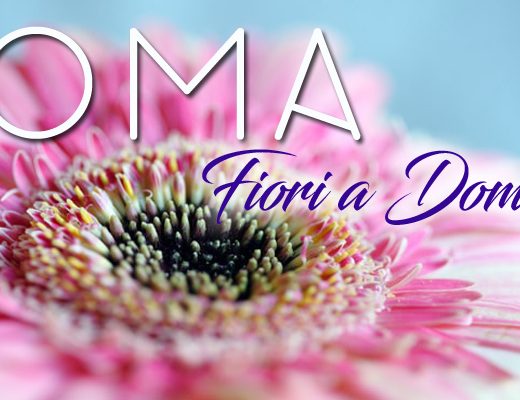Consegna Fiori a Domicilio a Roma: i 12 Migliori Fioristi