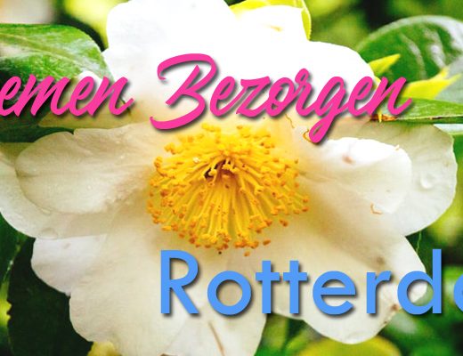 Beste Bloemenlevering Rotterdam