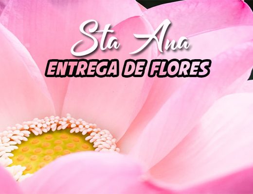 Las 8 Mejores Florerías con Entrega en Santa Ana