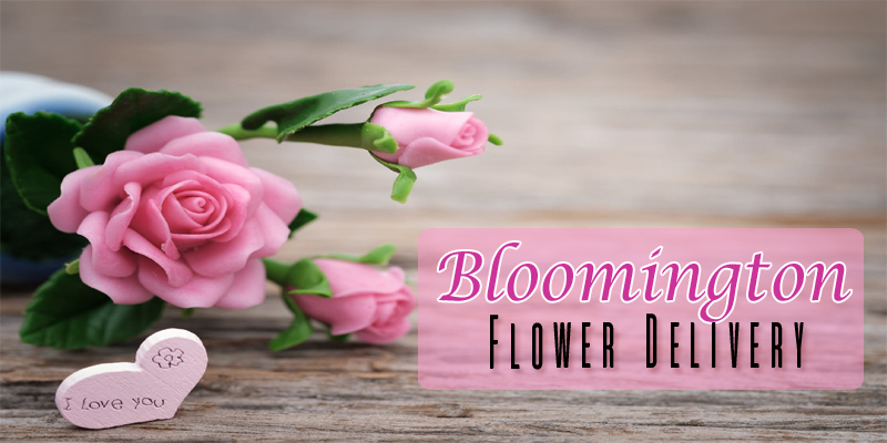 Best Flower Delivery Bloomington, Minnesota