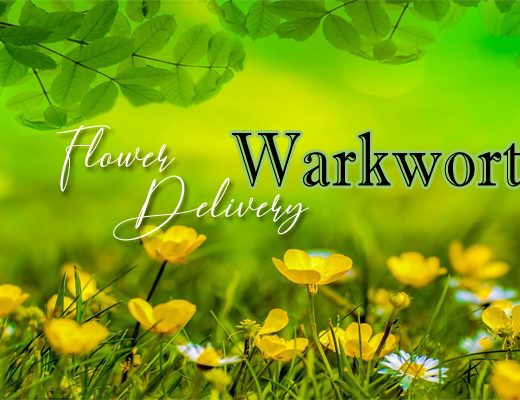 The 6 Best Options for Flower Delivery in Warkworth