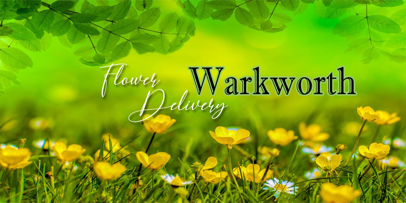 Best Flower Delivery Warkworth