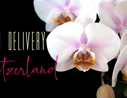 The 12 Best Options for Flower Delivery in Switzerland