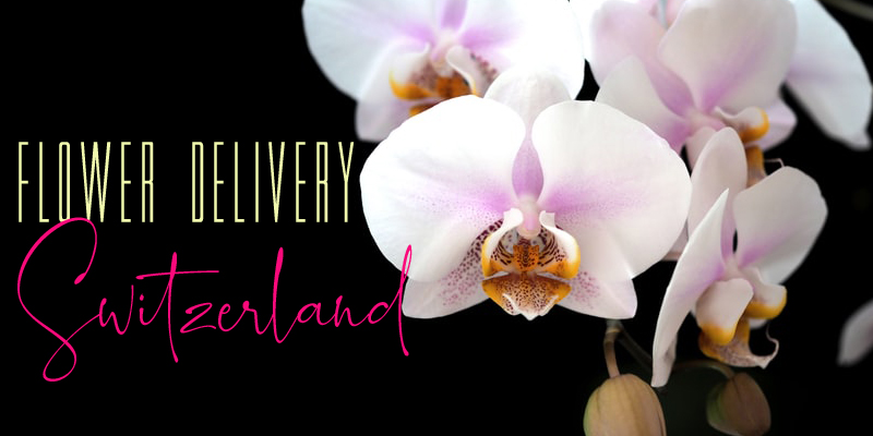 Best Flower Delivery Switzerland