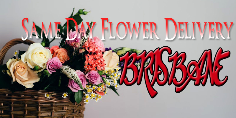 SAME DAY FLOWER DELIVERY BRISBANE