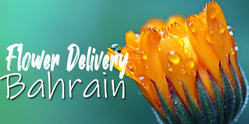 BEST FLOWER DELIVERY BAHRAIN
