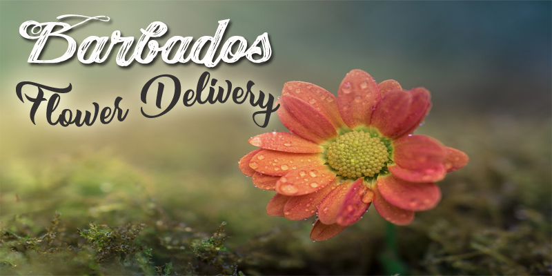 Best Flower Delivery Barbados