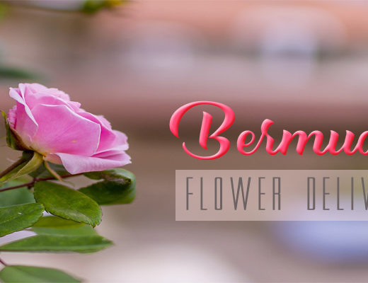 The 4 Best Options for Flower Delivery in Bermuda
