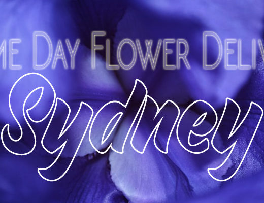 The 18 Best Options for Same Day Flower Delivery in Sydney