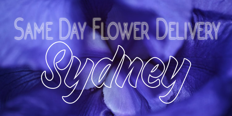 SAME DAY FLOWER DELIVERY SYDNEY