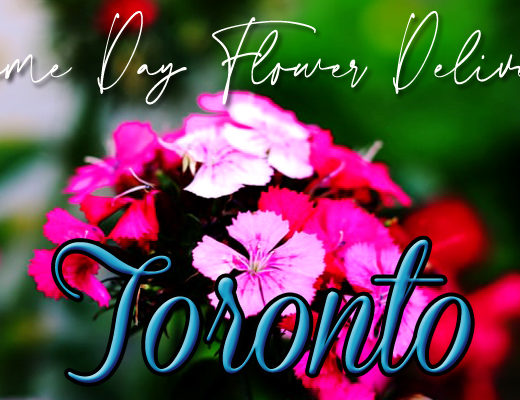 SAME DAY FLOWER DELIVERY TORONTO