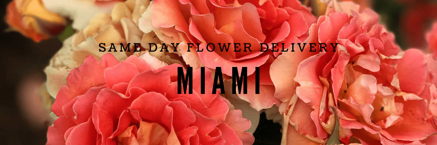 Best Options for Same Day Flower Delivery in Miami