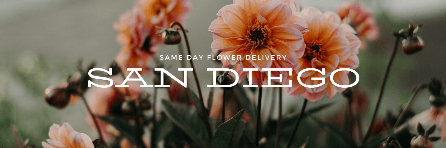 Best Options for Same Day Flower Delivery in San Diego