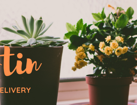 The 6 Best Options for Same Day Flower Delivery in Austin