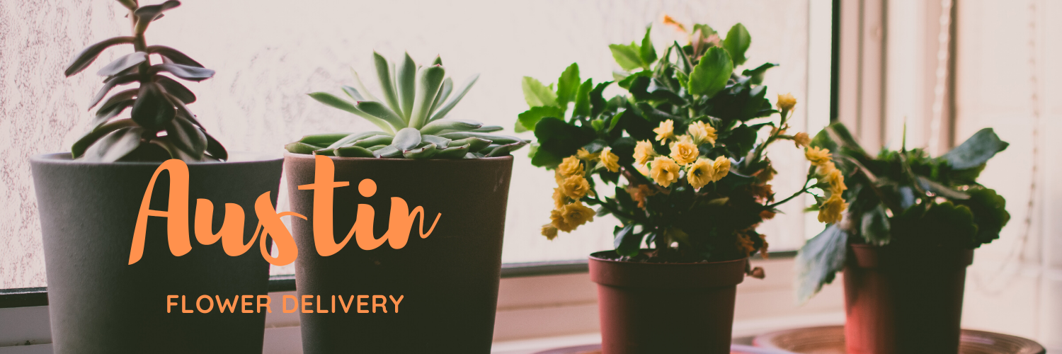Same Day Flower Delivery Austin