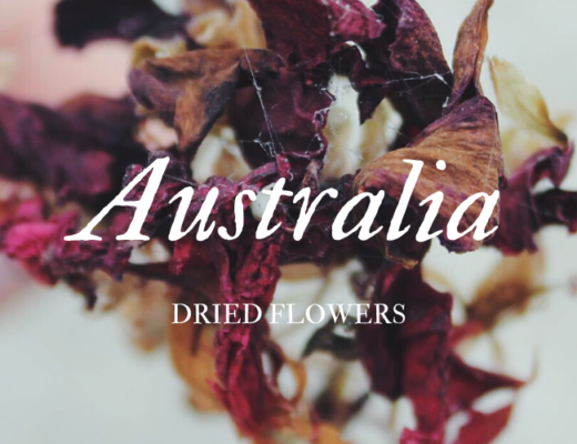 The 7 Best Options for Dried Flowers in Australia