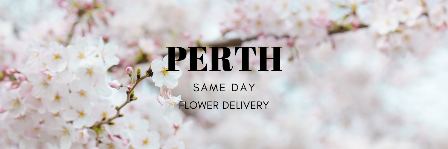 Same Day Flower Delivery Perth