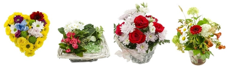 Flowers Delivery Bulgaria 4