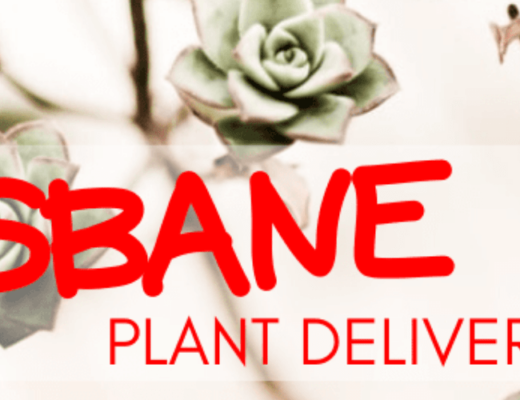 Plant Delivery Brisbane